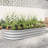 Metal Raised Garden Bed In Silver, Oval For Bliss - Big Silver Planter Captivation Large-1714867199-1714867186
