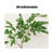 Tree Branch Metal Wall Decor Set - Modern Iron Artwork
