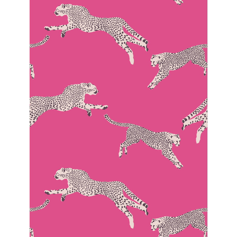 COUVERTURE DE FLEUR DE PASSE, Gomme balloune