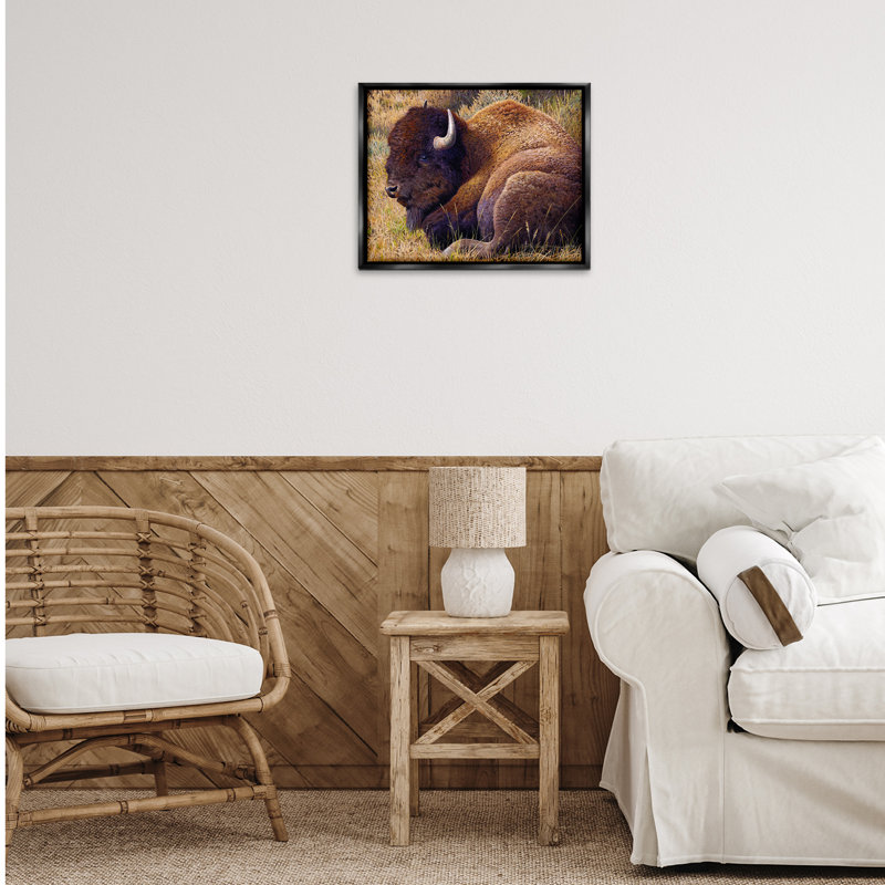 «Relaxing Young Bison Gray» par Rod Lawrence, Cadre flottant noir de jais, H 17 po x l 21 po