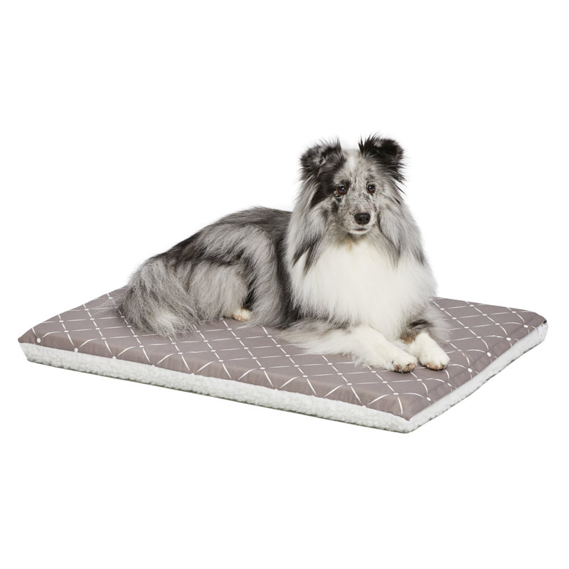 Lit pour animaux Paxton, Champignon / molleton, l 42,25 po x P 28,75 po x H 2,25 po