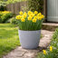Taylur Pot Planter Concrete Effect Recycled Plastic-112123027-122610429