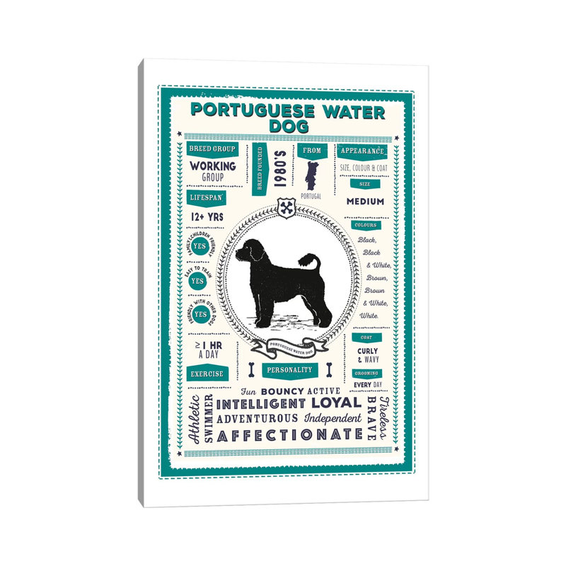 «Portugal Water Dog Infographie Blue» par PaperPaintPixels, impression sur toile tendue, H 60 po x l 40po x P 1,5 po