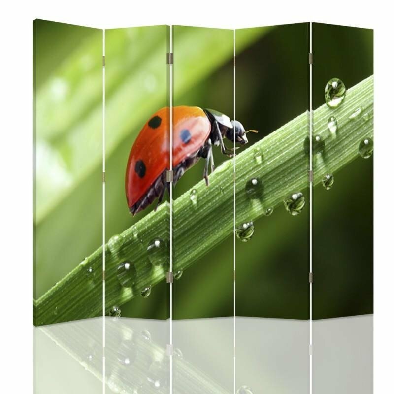 Raumteiler Ladybug mit 5 Paneelen