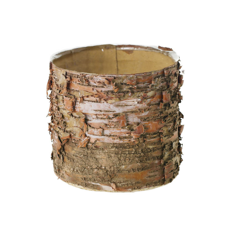Pot à fleurs en bois de bouleau Bryceton