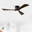 52" Ceiling Fan With Lights Remote Control