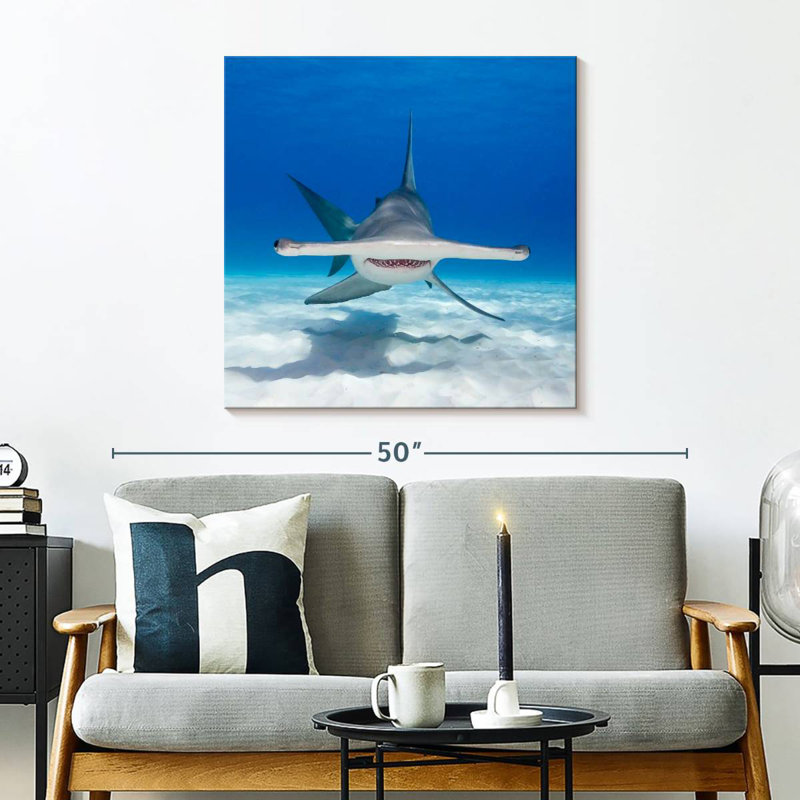 Requin-marteau Brampt nageant, H 30 po x l 30 po