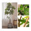 Arbre d'argent artificiel en PU de style nordique pour la décoration de salon intérieur-1051677832