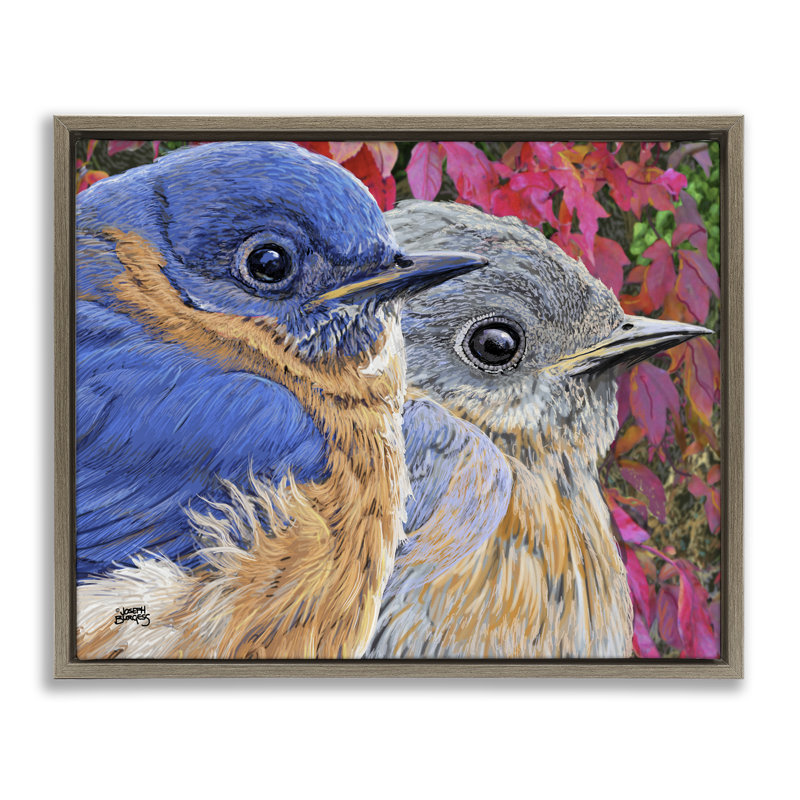 "Bluebird pair sur feuilles", art mural encadré par Joseph Burgess, H 17 po x l 21 po, Cadre flottant orme Montalcino