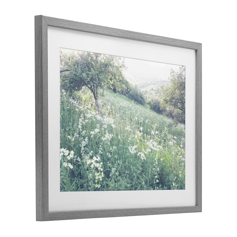 «Sunny Daisies in Meadow», reproduction sous verre encadrée, conception par Leah Straatsma, H 17 po x l 21 po