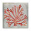 « aquarelle corail iii », reproduction de peinture à l’acrylique sur toile tendue-33416334