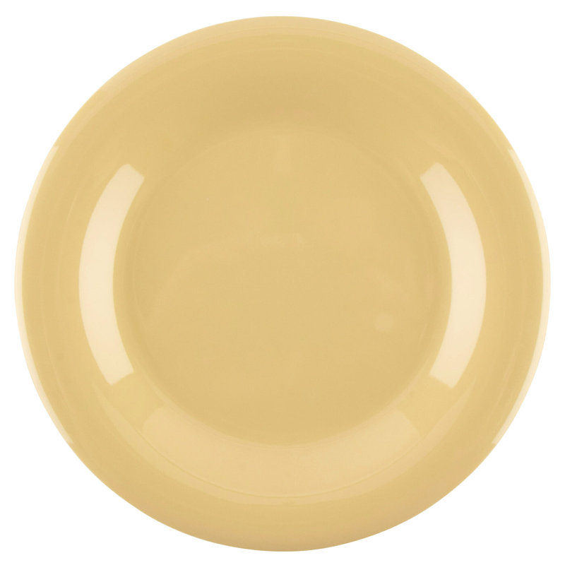  Assiette plate en mélamine 10,5 po, 12 pièces, Courge