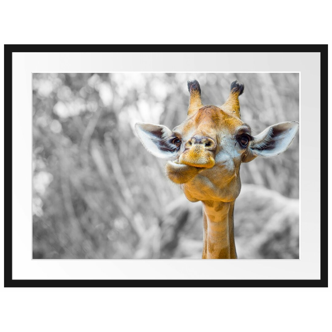 Gerahmtes Poster Giraffe in der Natur