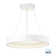 ICorona 1 - Light LED Unique/Statement Pendant