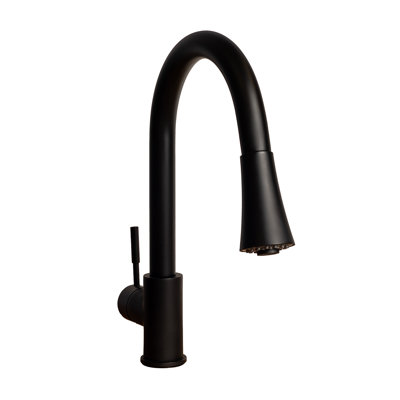 Edison Single Handle Kitchen Faucet with Side Spray and Accessories