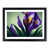 Black Framed selected