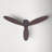 Hardy 3-Blade Flush Mount Ceiling Fan-1779934781