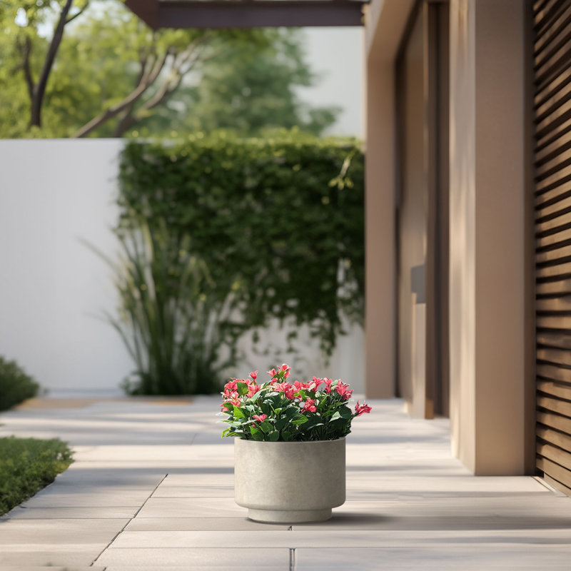 Grand pot / pot rond en béton avec trous de drainage, Gris clair, H 7,09 po x l 9,84 po x P 9,84 po