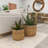 Birch Lane™ Seagrass Decorative Basket