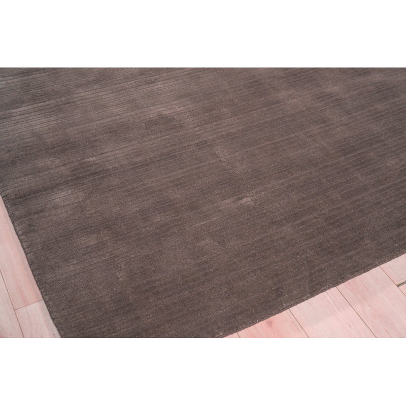 Cavallo Modern handloomed Nylon/Wool Silver Area Rug, Rectangle 2' x 3', Brown