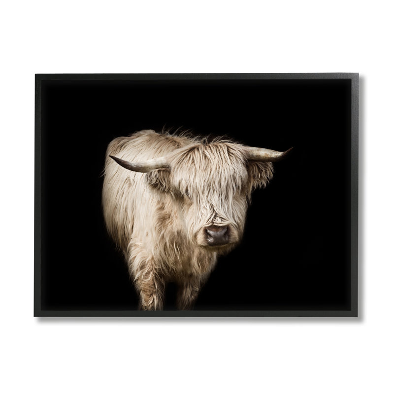 «Solenn Clever Portrait Modern Farm Animal Over Black» par Marika Moffit - reproduction, Giclée encadrée noir minuit