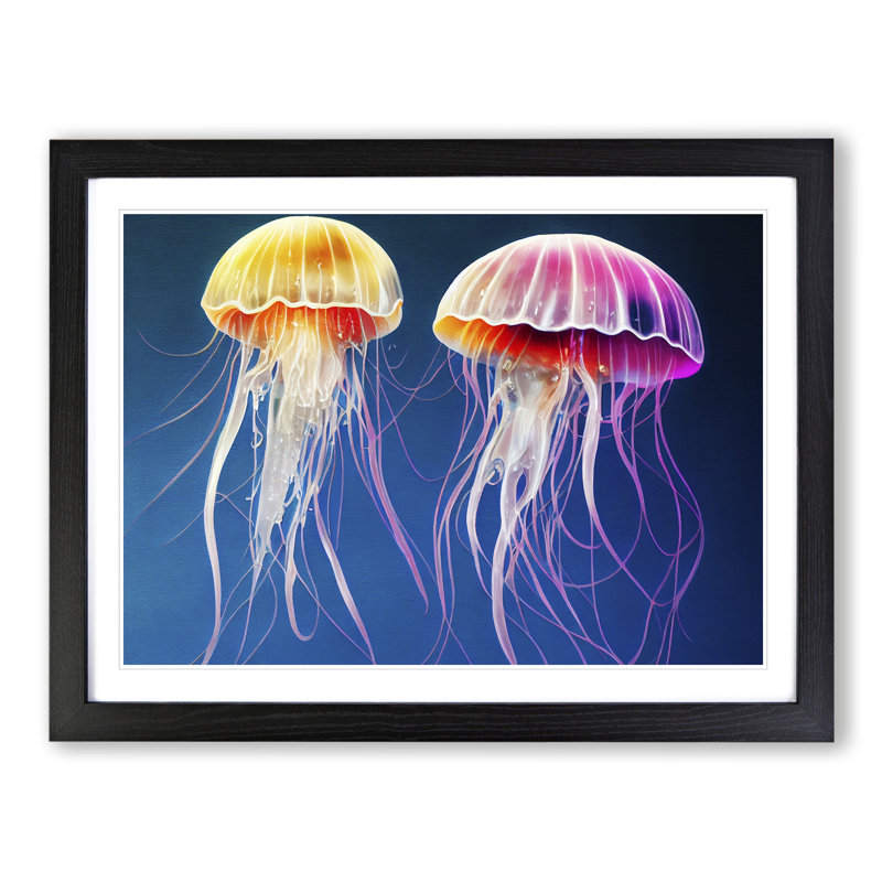 Jellyfish - Single Picture Frame Print, 46cm H x 64cm W x 2cm D, Black