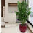 High quality ceramic flowerpot