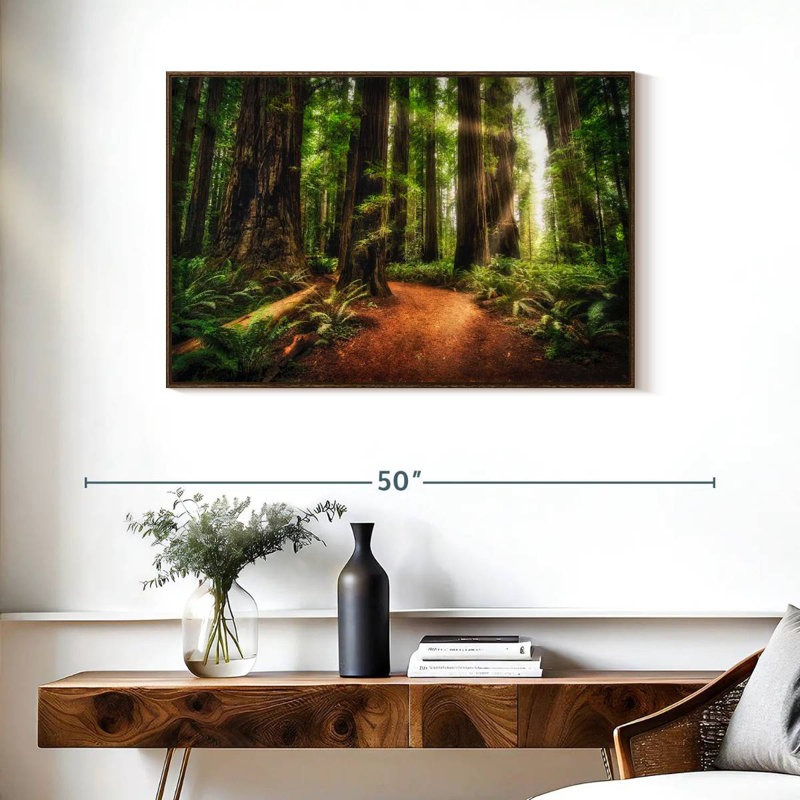 Lever de soleil au parc d'État Jedediah Redwoods, 37 po x 25 po, Cadre flottant noyer