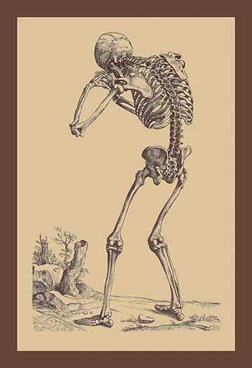 « pliage squelette » par andreas vesalius, impression encadrée