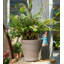 Deepa UV Resistant Stone Garden Statue