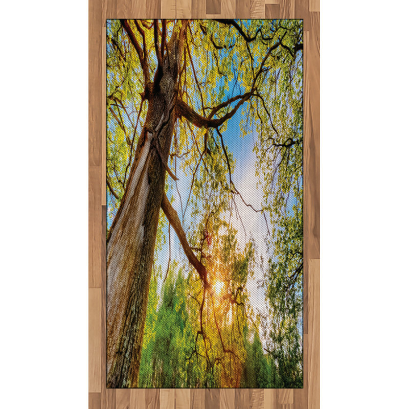 Forest Landscape High Density Long Fiber Poly Threads Decorative Area Rug Carpet, Rectangle 2'7" x 5'