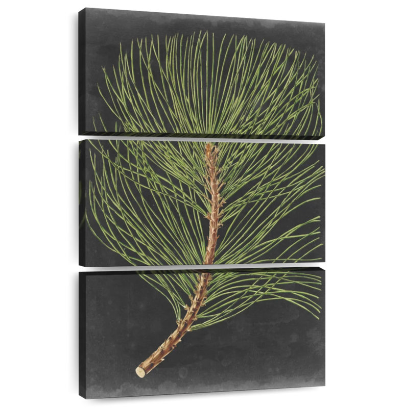Harnek Dramatic Pine III, 50" H x 32" W