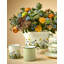Highgrove - Wildflower - Tea For One