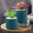 Nicolaus Ceramic Pot Planter Set of 2-306078222