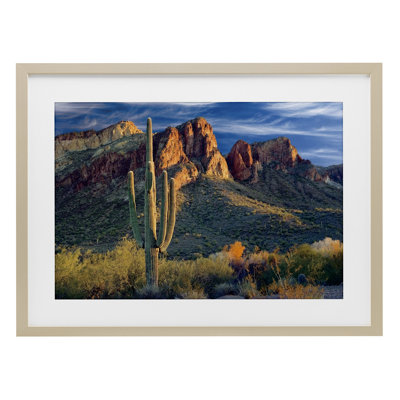 «Found You Cactus in Canyon», reproduction sous verre encadrée, design par Mike Jones