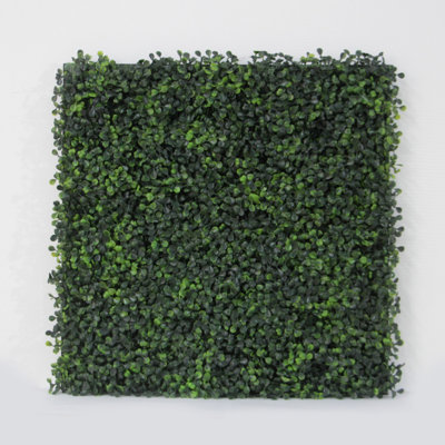 20'' Plant