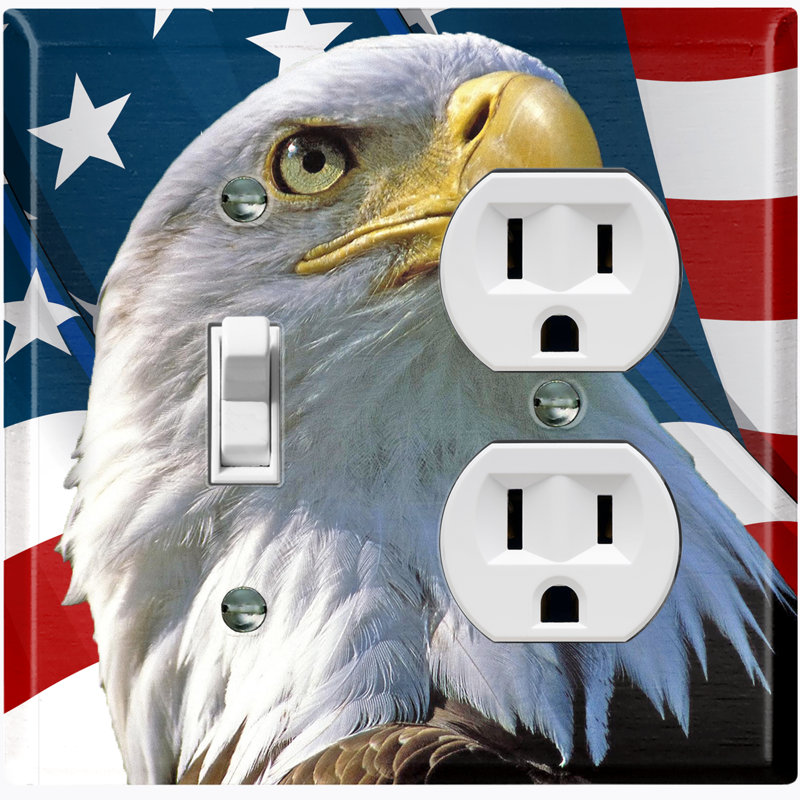 Patterned 2 - Gang Toggle Light Switch Standard Combination Wall Plate