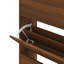 12 Pair Flip Down Shoe Storage-1524619310