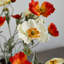 Arrangement floral coquelicot en pot