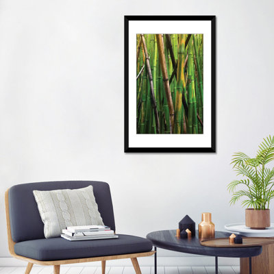« bambou trees, maui, hawaii, usa iv », reproduction de photo sur toile