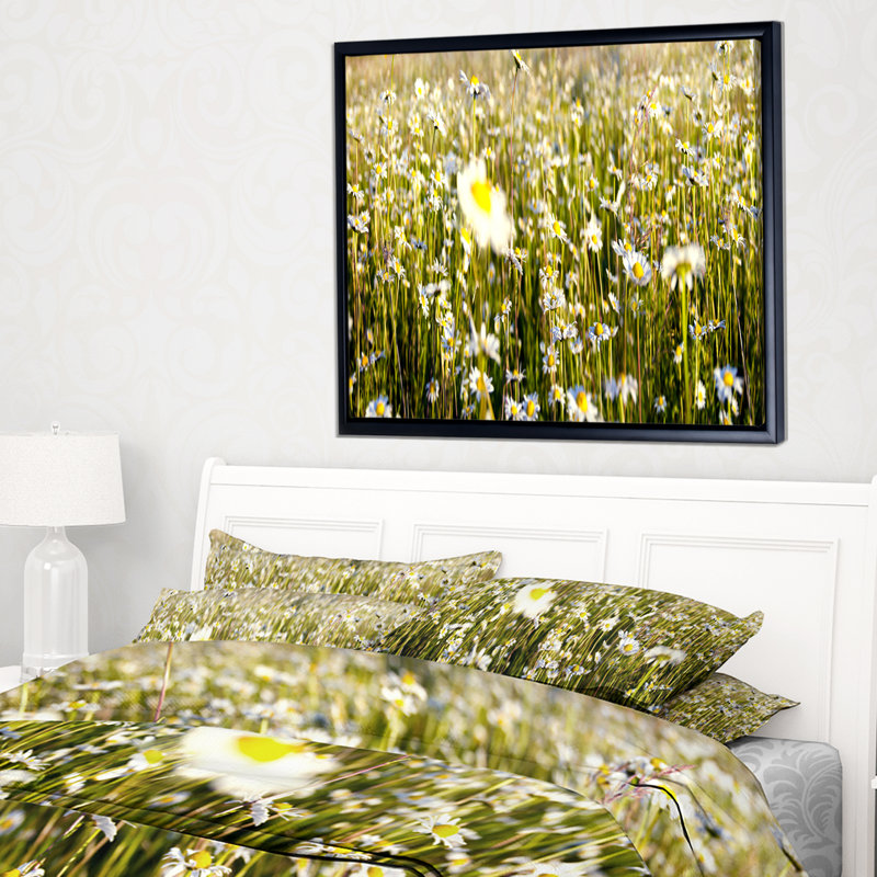 «Wild Chamomile Flowers Field», reproduction de photo sur toile tendue encadrée, H 12 po x l 20 po x P 1 po, Cadre noir