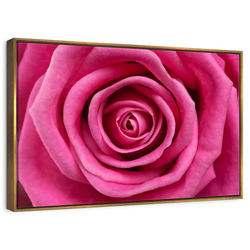Rose vif, Cadre flottant doré, 37 po x 25 po