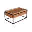 Lehoux Frame Coffee Table with Storage