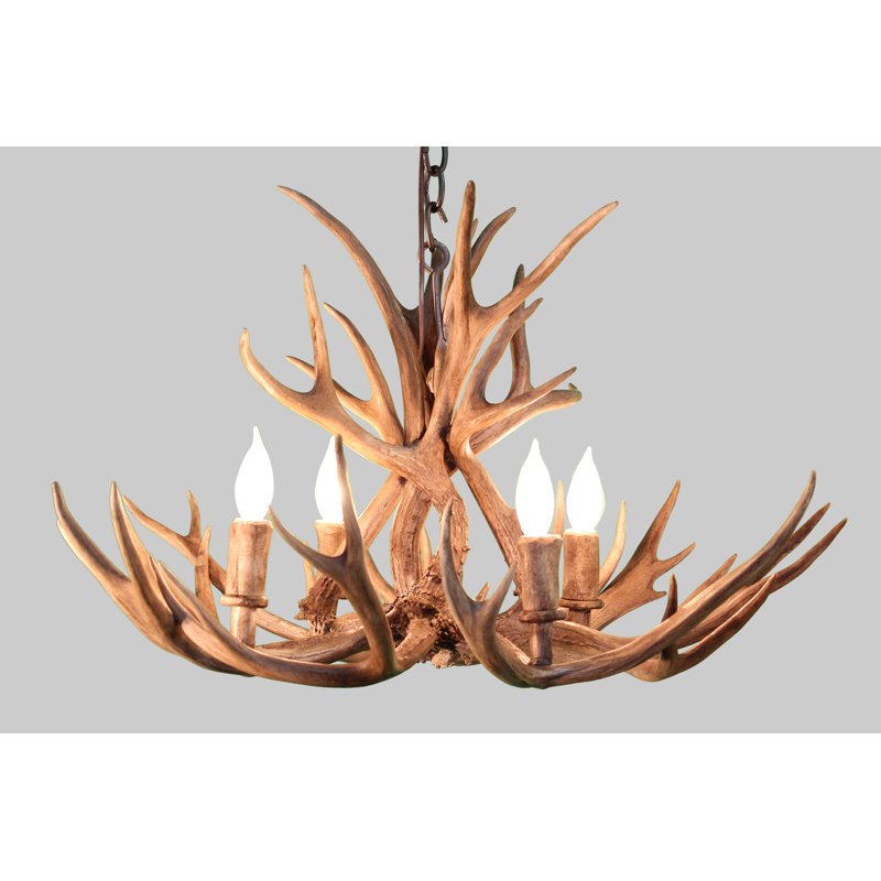 Lustree 4 lumières unique/classique avec accents de antler Alvie