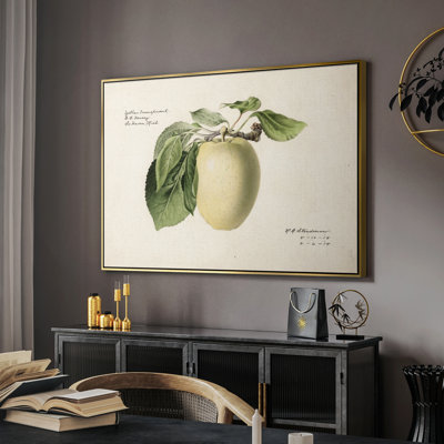 Reproduction botanique rétro-XLV - reproduction sur toile flottante