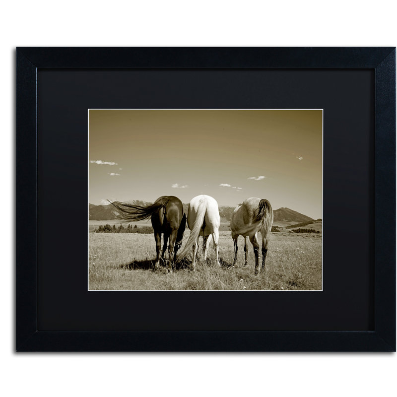 " Three Horses " Acrylic Print, 16" H x 20" W x 0.5" D, Black Framed