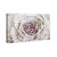 «Winter New York Flower», reproduction d'impression-252314914-252315101