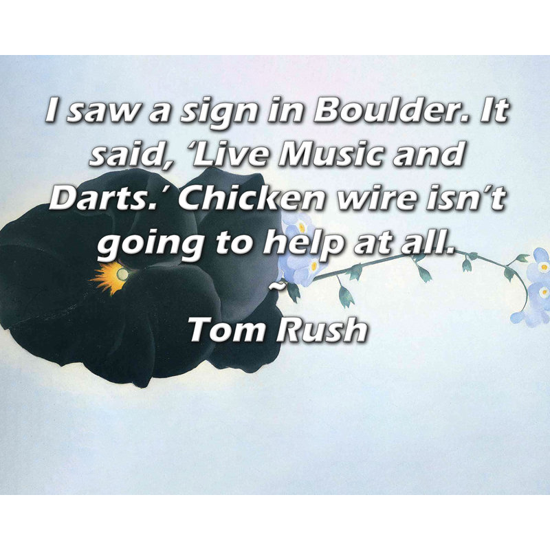 Toile tendue de la galerie ArtsyQuotes par Tom Rush: «J'ai vu une affiche à Boulder. Elle dit« Live Music and Darts ». Le fil de poulet ne va pas aider du tout.