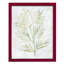 Tyrel Breezy Fronds III, encadré sur papier-580115398-580115404