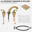 2-handle Bathroom Faucet-101488294